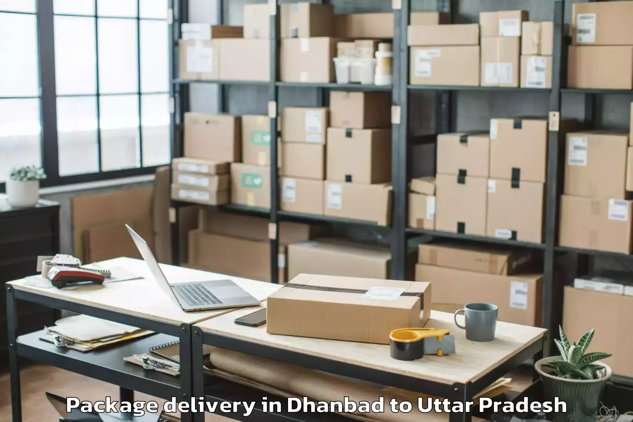 Professional Dhanbad to Gabhana Package Delivery